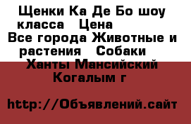 Щенки Ка Де Бо шоу класса › Цена ­ 60 000 - Все города Животные и растения » Собаки   . Ханты-Мансийский,Когалым г.